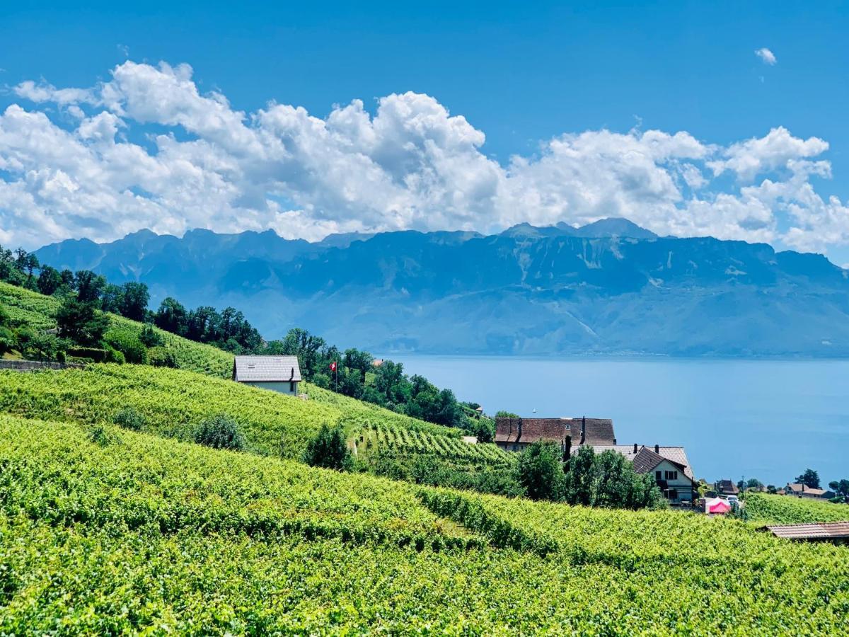 #Lavaux Hotel Lutry Kültér fotó
