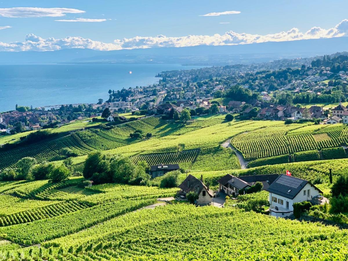 #Lavaux Hotel Lutry Kültér fotó