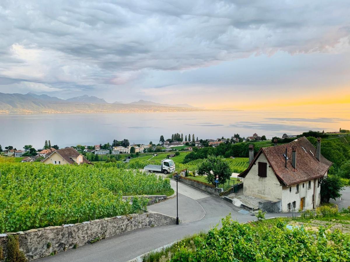 #Lavaux Hotel Lutry Kültér fotó